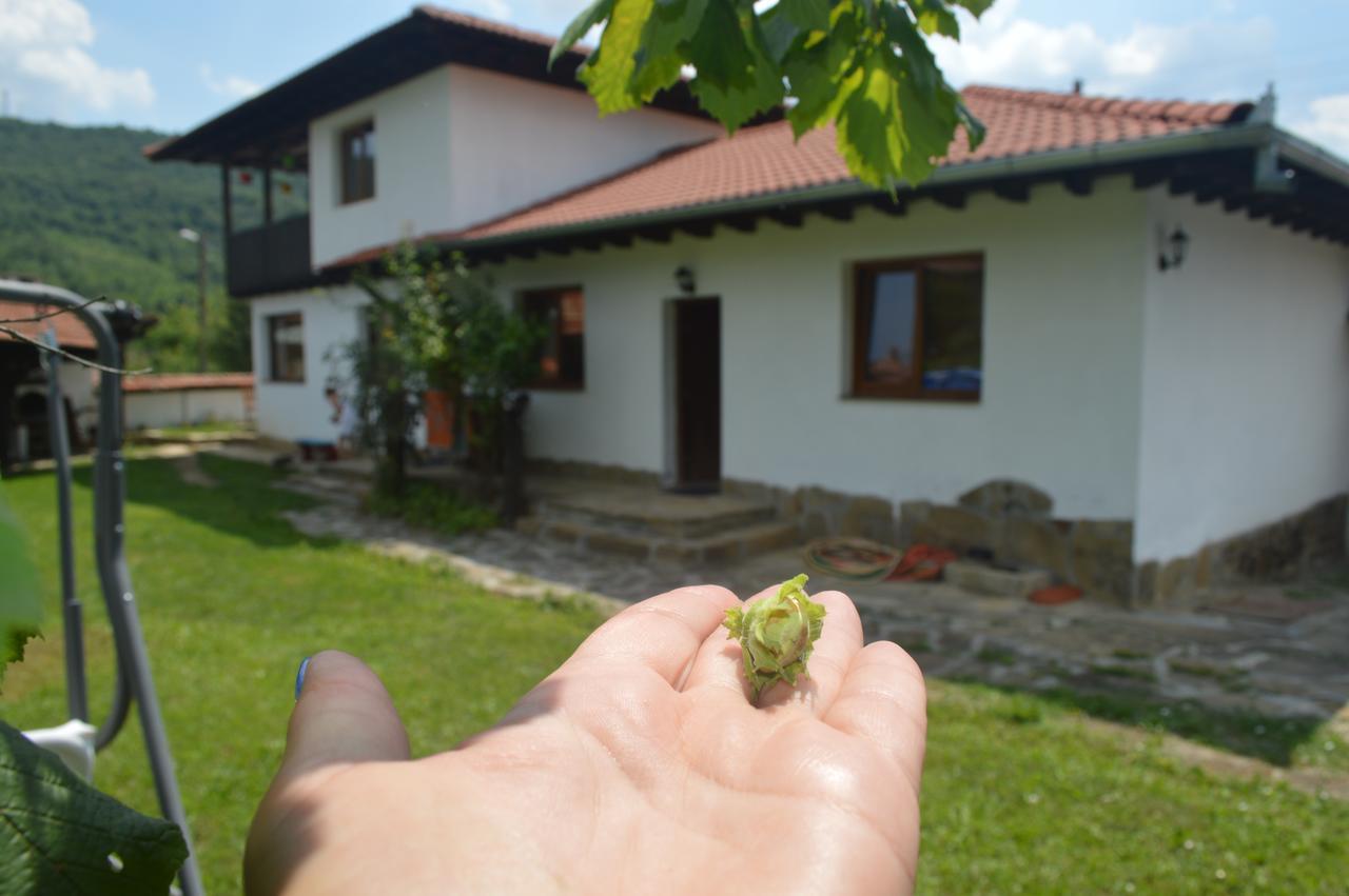 Guest House Yana Tarkaseni Kültér fotó