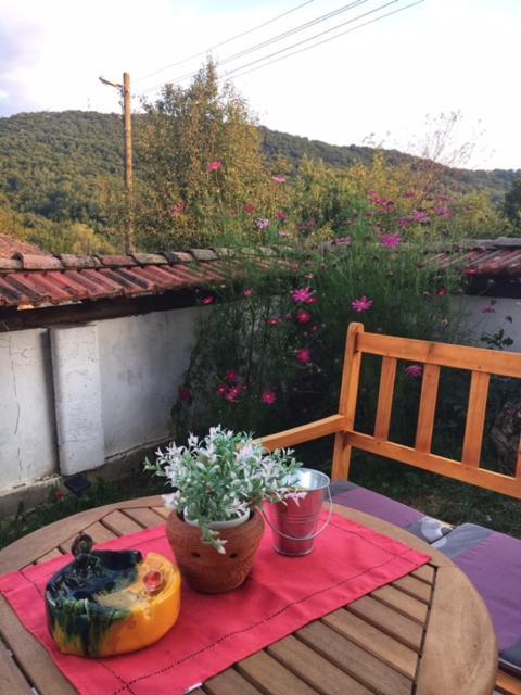 Guest House Yana Tarkaseni Kültér fotó